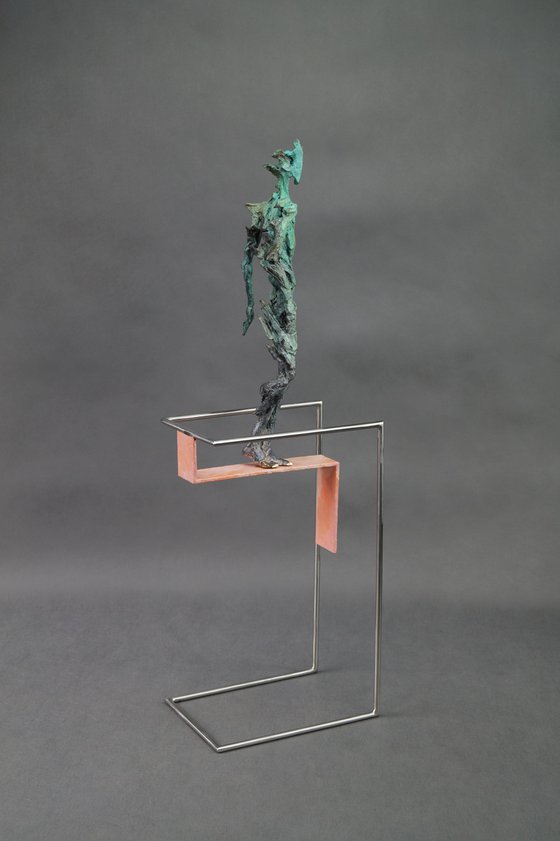 TIBIS V