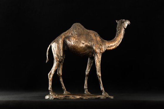 Camel Foundry Bronze sculpture