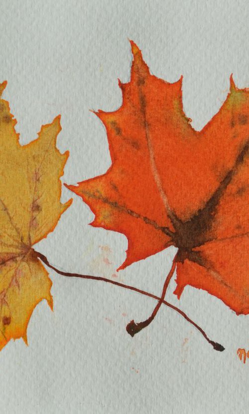 Maple Leaves by Neha Soni
