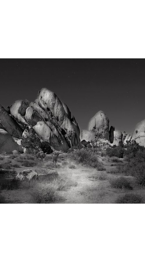 Joshua Tree, California by Clive Shalice