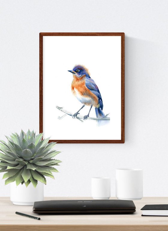 Bluebird on a branch