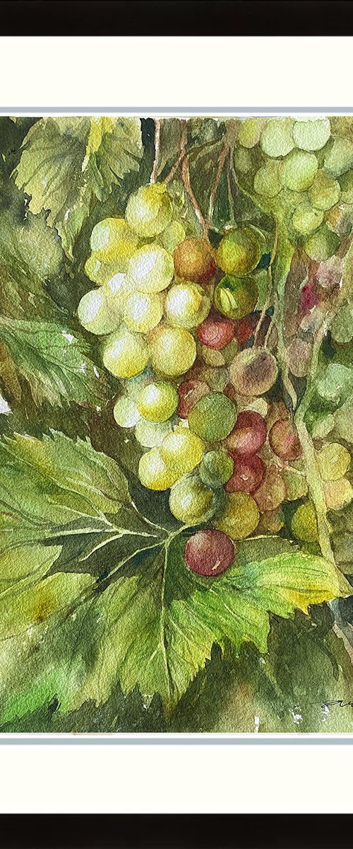Grapes_ Green gems by Arti Chauhan