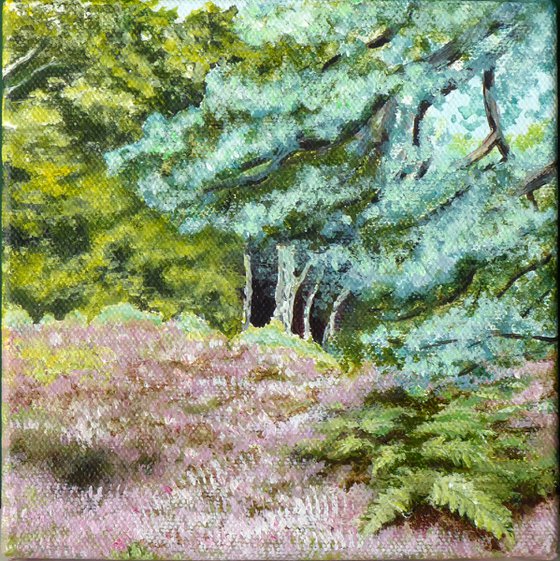 Bolderwood, New Forest