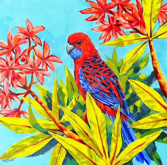 Crimson Rosella