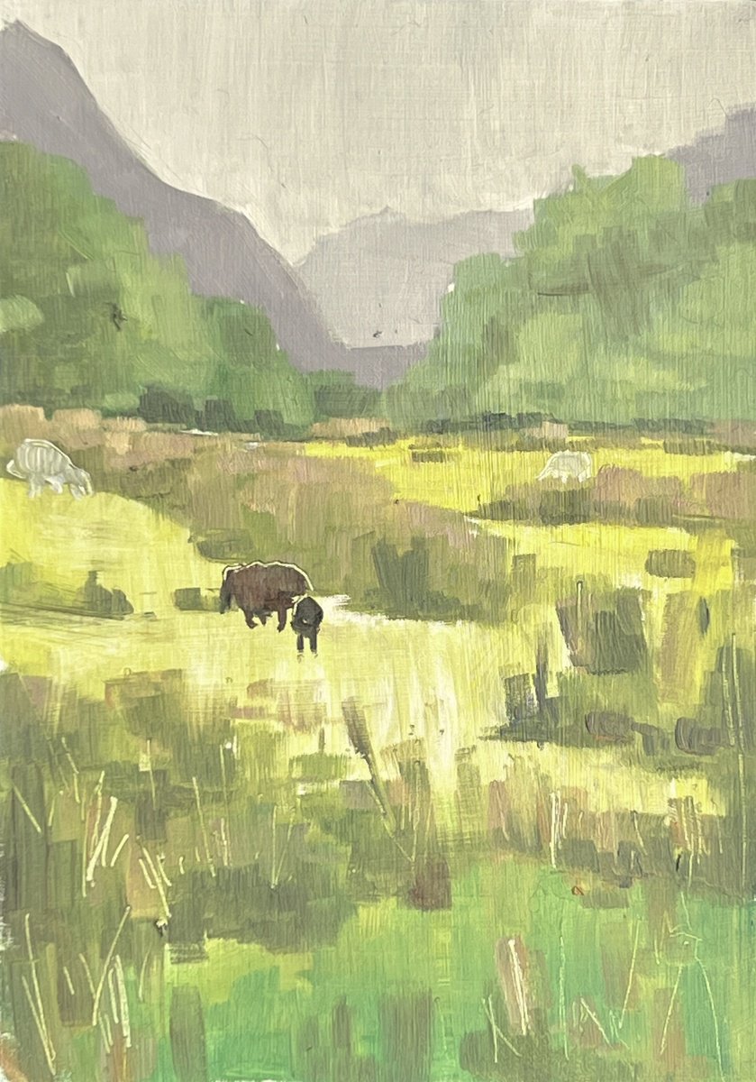 Snowdonia Sheep By Louise Gillard, 6 X 8, Artwork For Sale On Artfinder