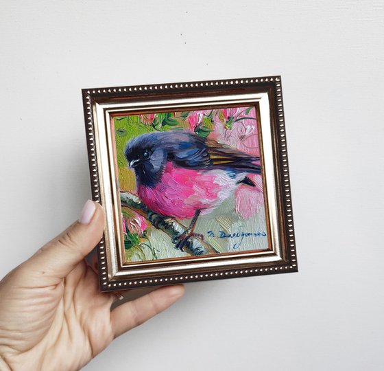 Pink Robin bird painting original oil iframed, Miniature bird painting small art