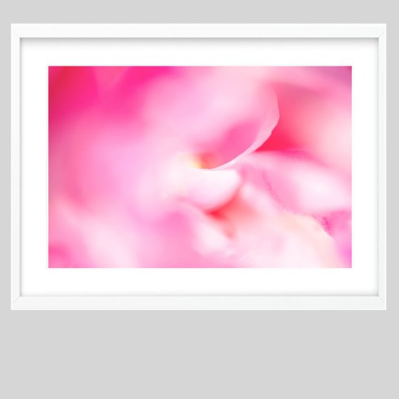 Poeme - Pink Abstract Canvas - lyrical abstract