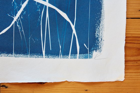 Spithandle Lane #4 (Cyanotype)