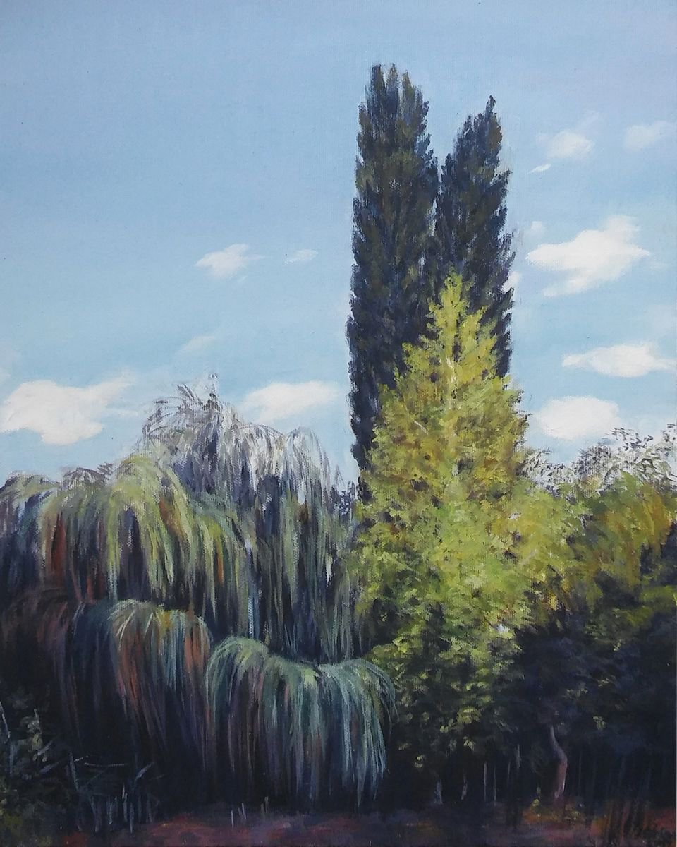 Landscape-Oil on canvas by Jelena Milojevic