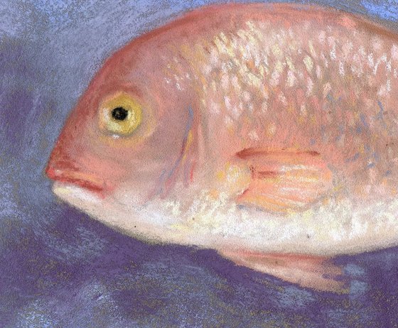 Pink fish