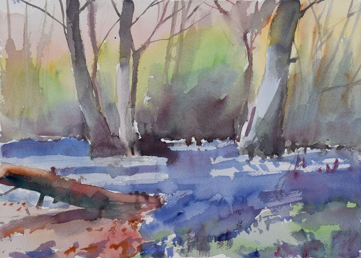 Bluebell woods ,Cornwall new 18a by Goran �igoli? Watercolors