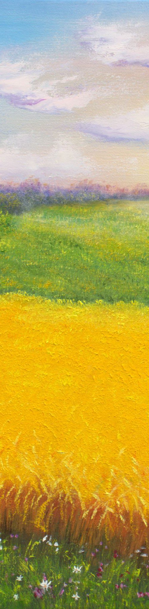 Sunrise at the wheat field by Ludmilla Ukrow