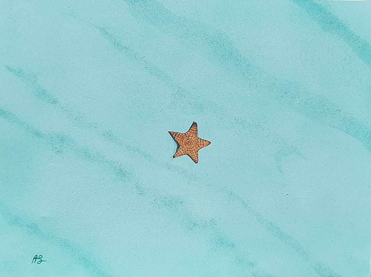 Starfish in Emerald Sand by Anne Shaughnessy