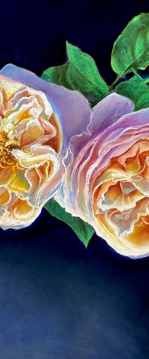 Two roses by John Cottee