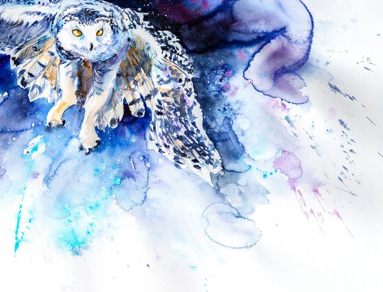 Snowy owl hunting
