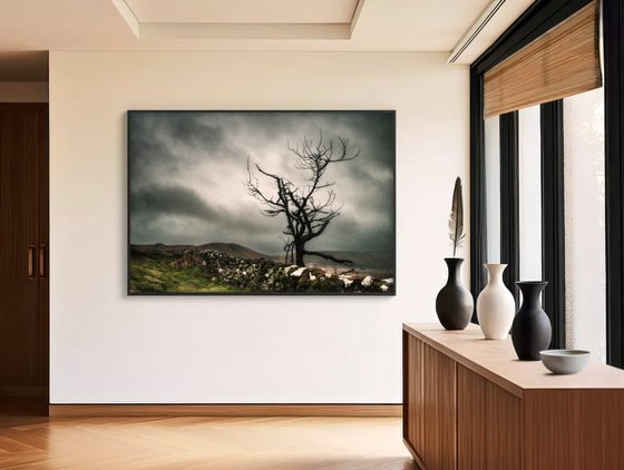 Melancholy in the Highlands