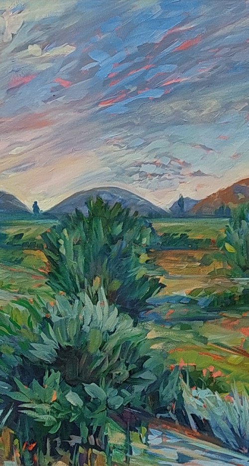 Olive Grove Sundowners by Tamara Vieira