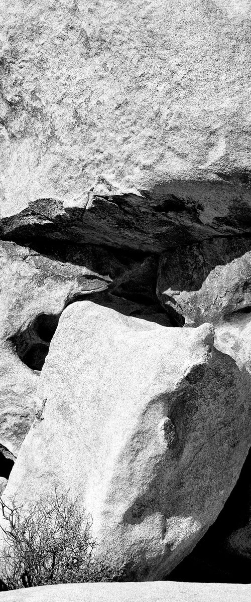 WITHIN THE ROCK Joshua Tree National Park by William Dey