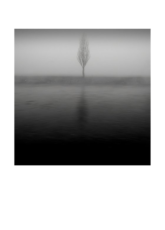 The river 2