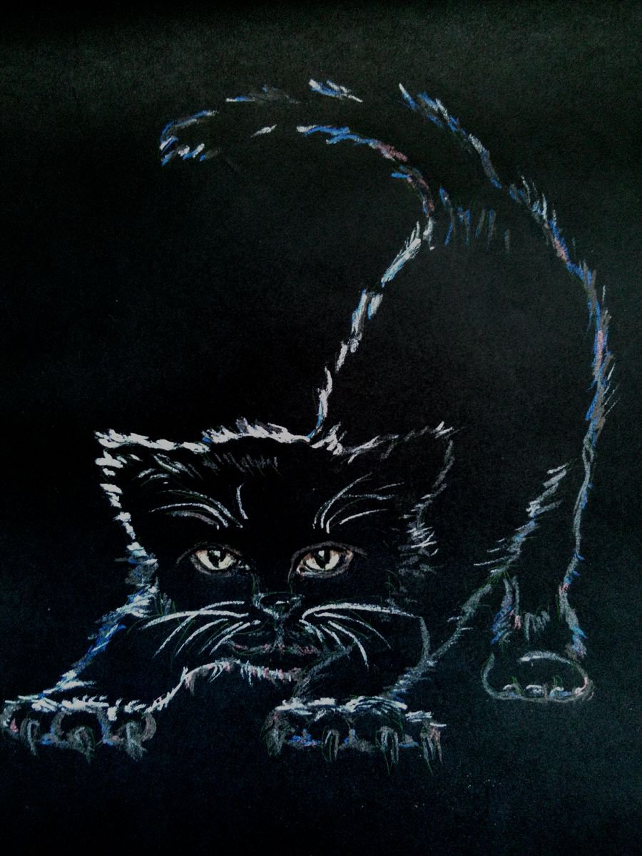 Black kitten in a dark room by Liubov Ponomareva