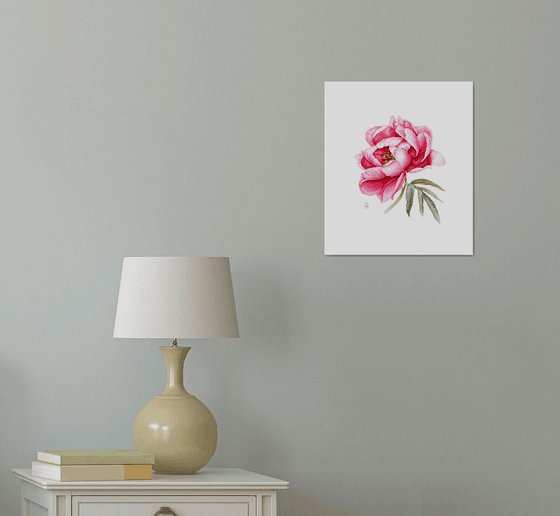 Pink peony