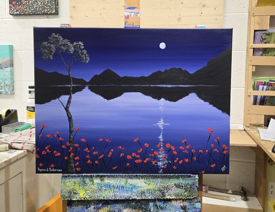 Poppies at Buttermere