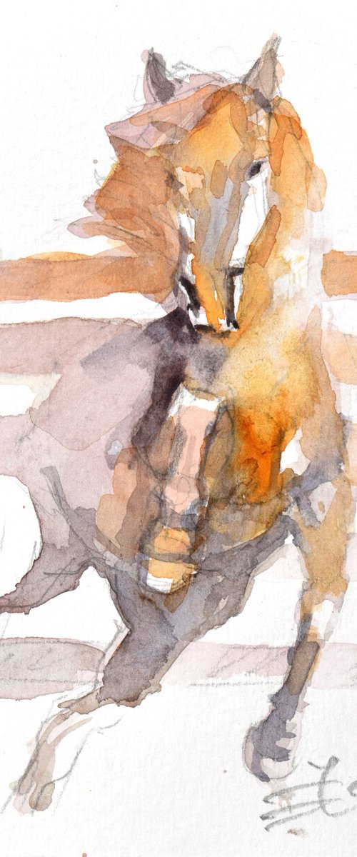 Prancing horse  in orange S by Goran Žigolić Watercolors