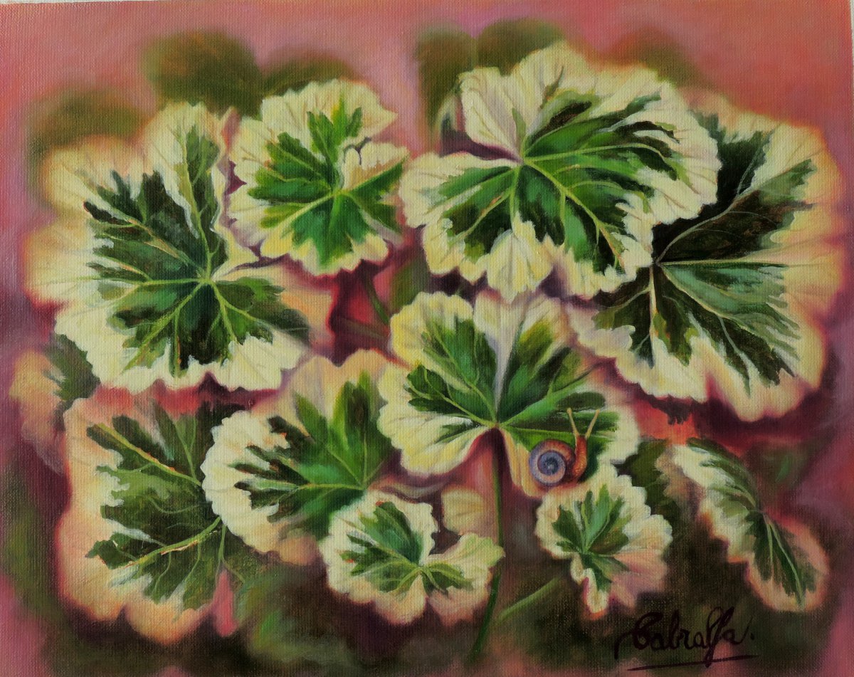 Pink Geranium by Laura Marcela Cabral