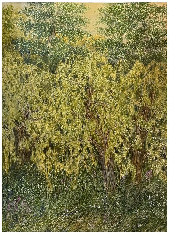 Golden Willows