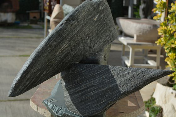 "Particular Insight"