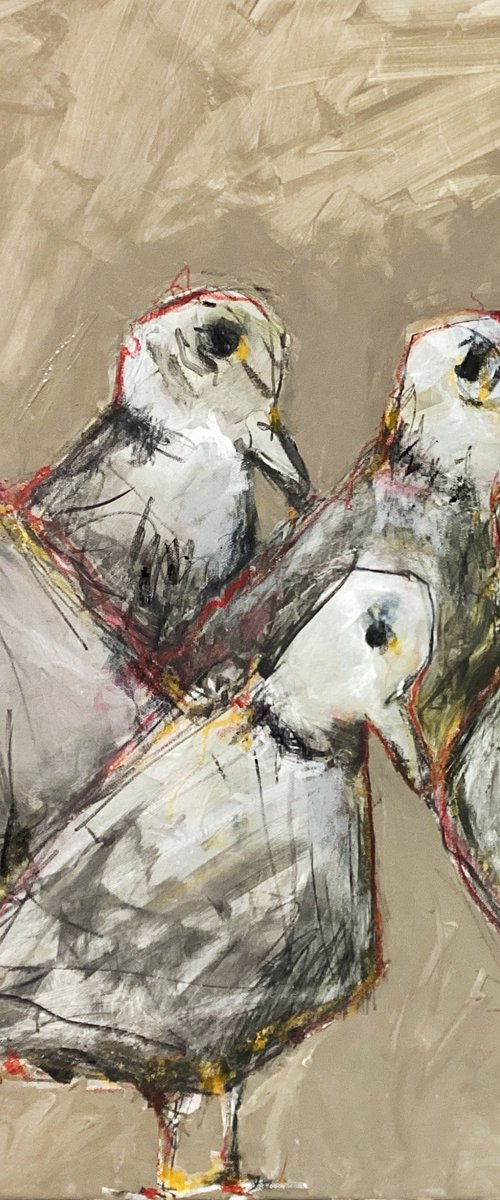 Dove Team by Irene Wilkes