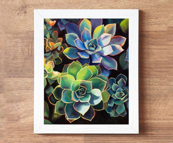 Blue succulent plants in sun