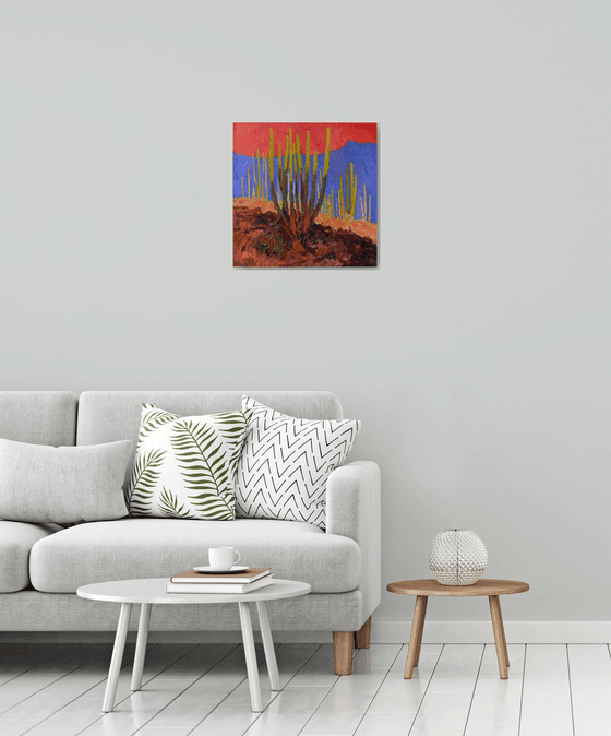 Evening Light. Cactuses