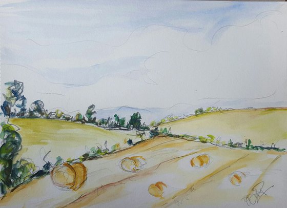 Rolling Harvest Fields of Wicklow