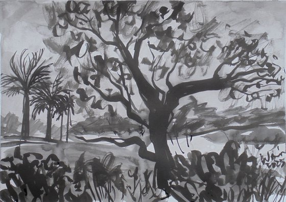 Ink study Jacaranda in Nueva Andalucia II