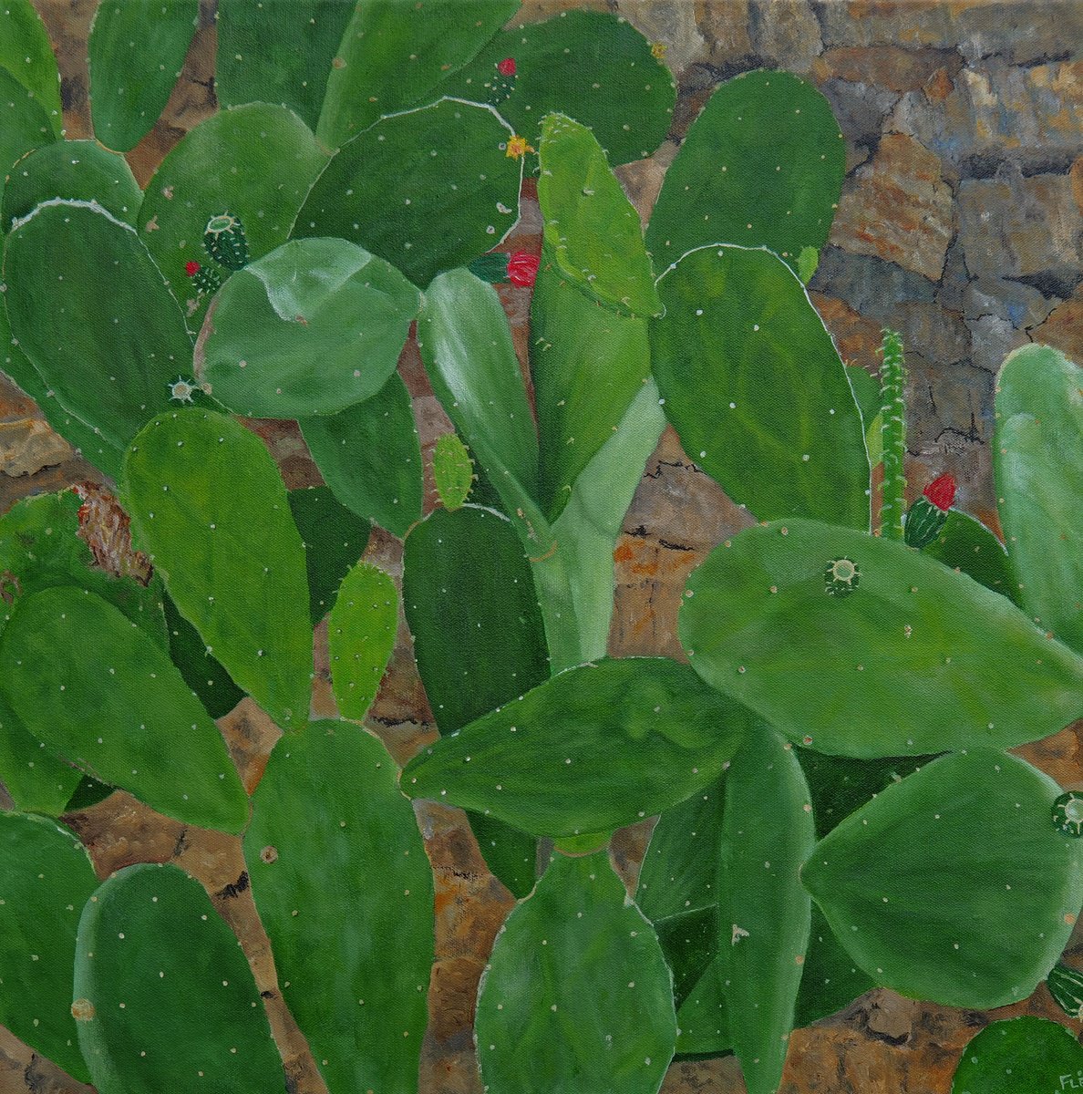 St. Martin Cactus By Steven Fleit, 20 X 20, Artwork For Sale On Artfinder