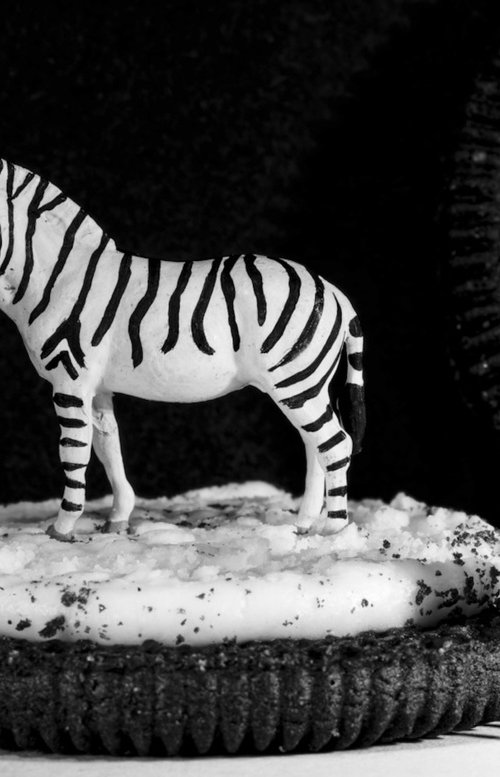 Zebra Cookie by Marc Ehrenbold
