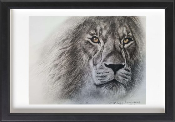 Oil painting reasilm realistic on paper Lion