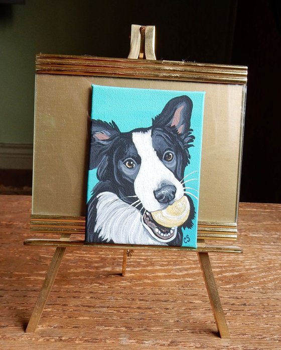 ACEO ATC Original Painting Border Collie-Play Ball- Pet Dog Art-Carla Smale