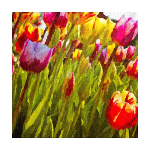 Painted Tulips by Martin  Fry