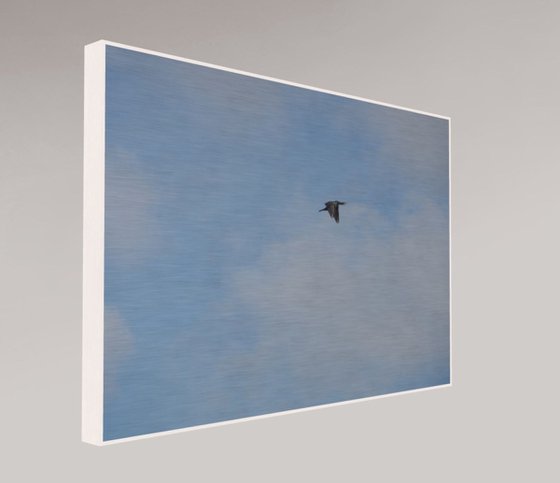 FLYING BY