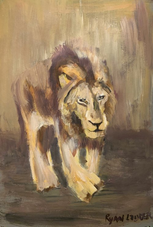 Lion Walking by Ryan  Louder