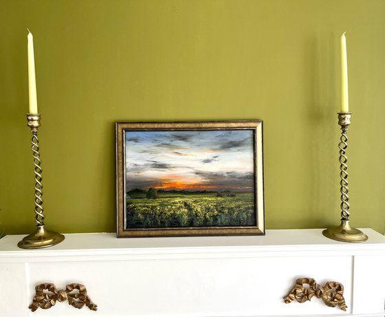 Rapeseed by Sunset