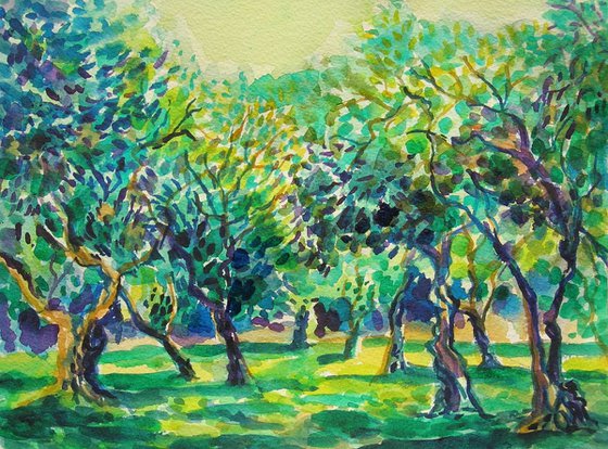 Breeze in olive orchard