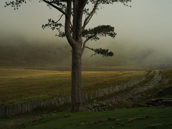 blaenau ffestiniog