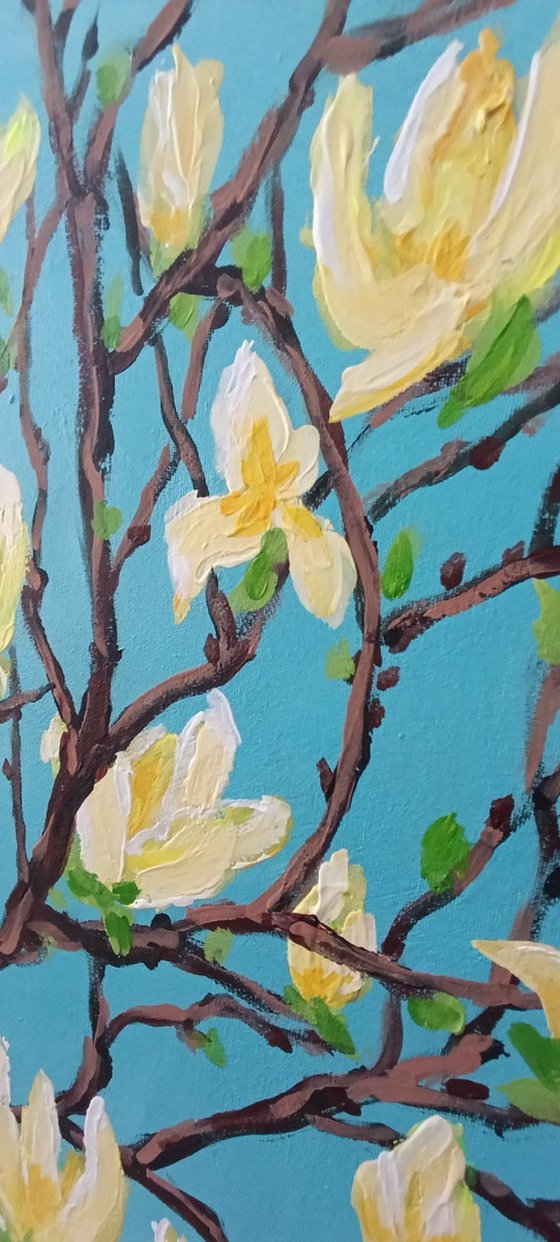 Yellow Magnolia