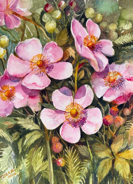 Anemones in the Garden