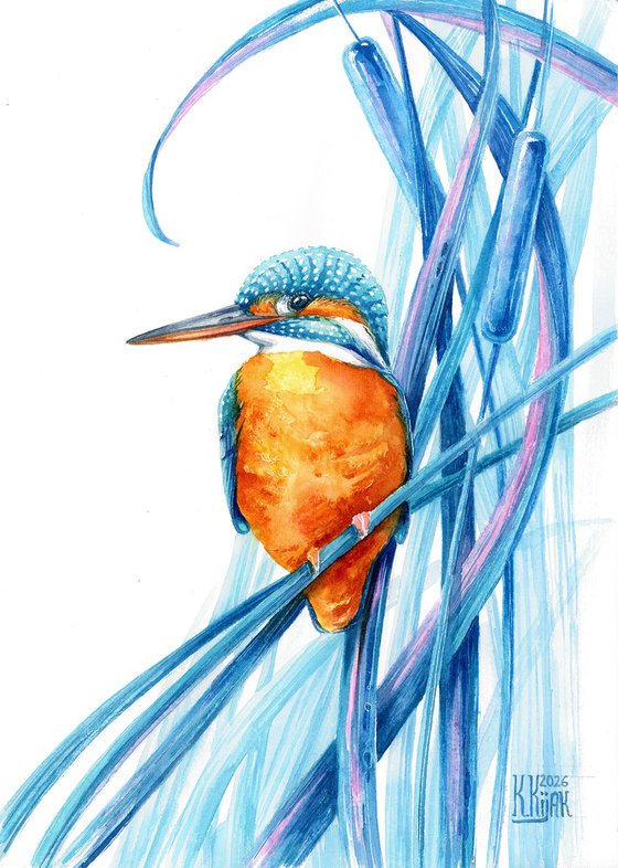 Kingfisher