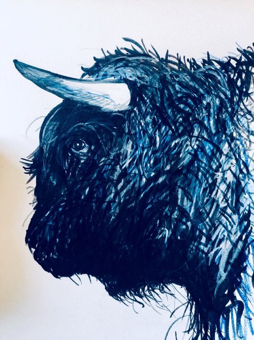 Blue Bull Head by Shabs  Beigh