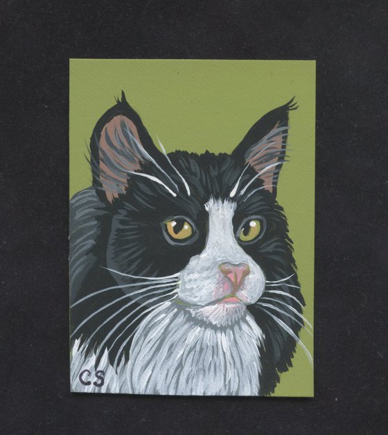 ACEO ATC Original Miniature Painting Black Tuxedo Cat Pet Art-Carla Smale